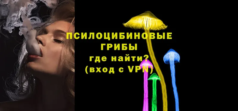 где продают наркотики  Бахчисарай  Галлюциногенные грибы MAGIC MUSHROOMS 